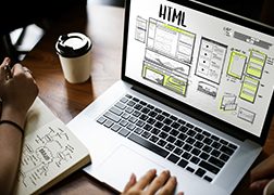 Web Design & Development